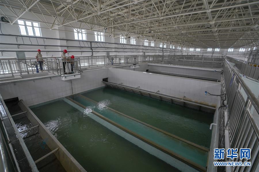 (決戰(zhàn)決勝脫貧攻堅·圖文互動)(3)改水記