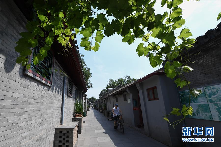 （走向我們的小康生活·圖文互動）（1）小橋、流水、書香、人家——老北京胡同里的恬靜棲居