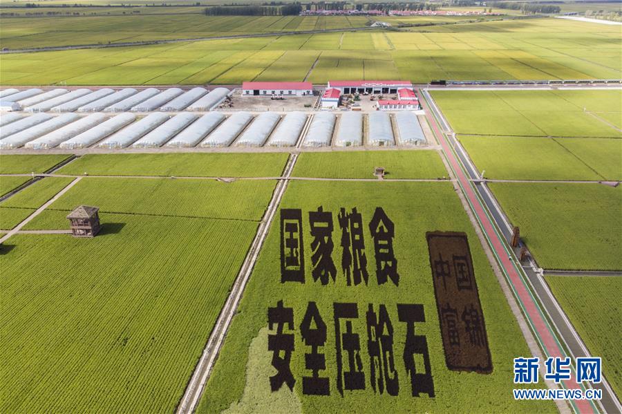 (決戰(zhàn)決勝脫貧攻堅(jiān)·圖文互動(dòng))(1)再戰(zhàn)“北大倉”