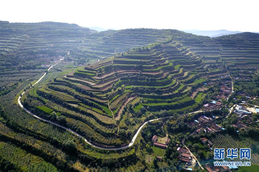 (走向我們的小康生活·圖文互動(dòng))(1)在那碧綠的階梯上——“梯田之鄉(xiāng)”甘肅莊浪縣的“三級(jí)跳”