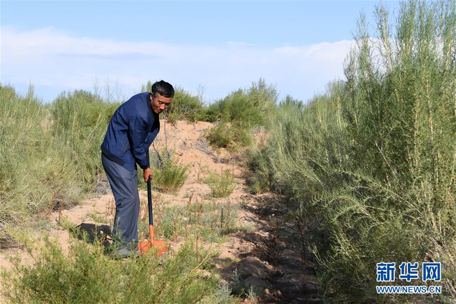 （新華全媒頭條·走向我們的小康生活·圖文互動）（8）“苦甲”不再，“甘味”綿長——脫貧攻堅的甘肅味道