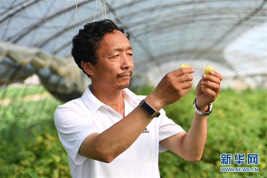 （新華全媒頭條·走向我們的小康生活·圖文互動）（7）黑土地上是我家——在吉林，一瞥中國東北鄉(xiāng)村美麗未來