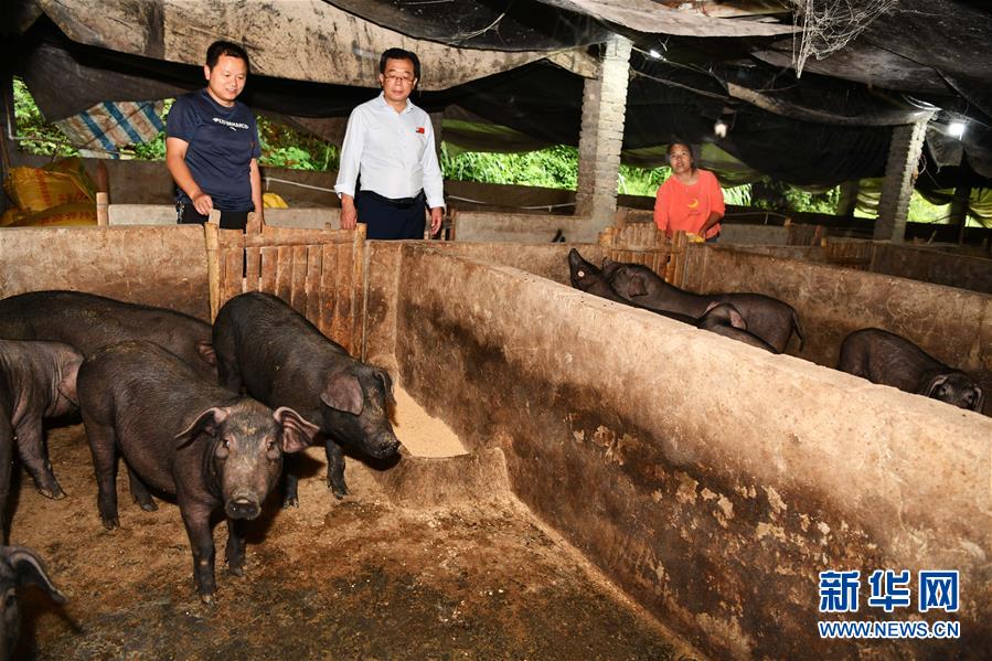 (新華全媒頭條·決戰(zhàn)決勝脫貧攻堅(jiān)·督戰(zhàn)未摘帽貧困縣·圖文互動)(9)把“最能打的人”放在最需要的地方——聚焦貴州未脫貧縣里的“助攻干部”