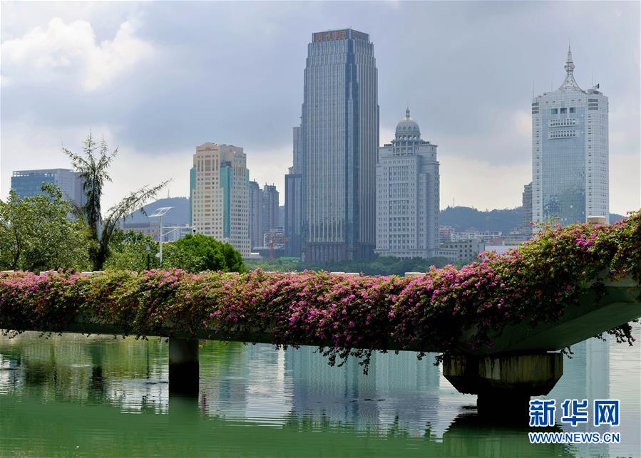 (特區(qū)40年?圖文互動(dòng))(7)廈庇五洲客 門納萬頃濤——廈門經(jīng)濟(jì)特區(qū)40年發(fā)展紀(jì)實(shí)