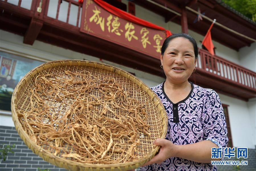 （新華全媒頭條·走向我們的小康生活·圖文互動）（4）神山村“神奇”何在？——井岡山深處覓答案