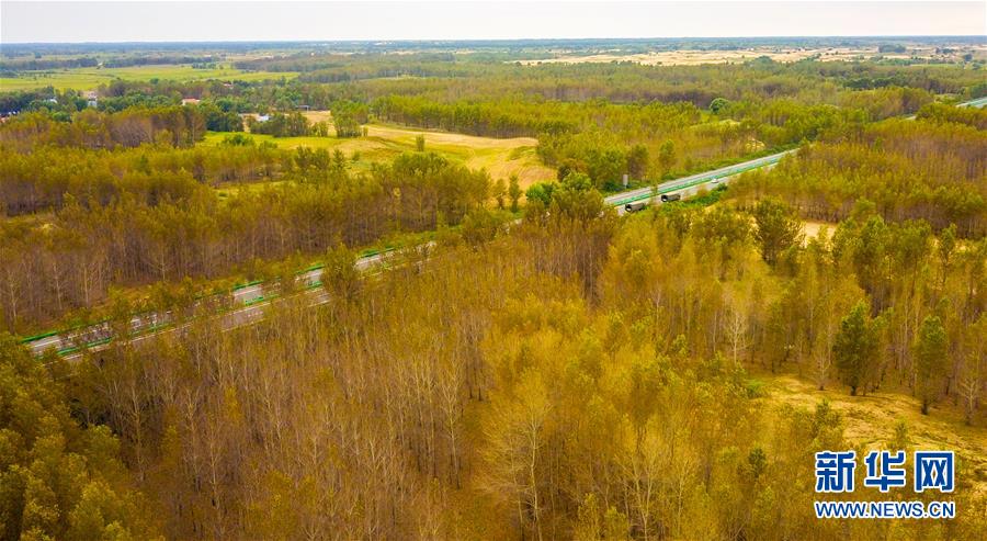 （在習(xí)近平新時代中國特色社會主義思想指引下——新時代新作為新篇章·習(xí)近平總書記關(guān)切事·圖文互動）（3）綠意，在黃沙中鋪展——我國防沙治沙紀(jì)實(shí)