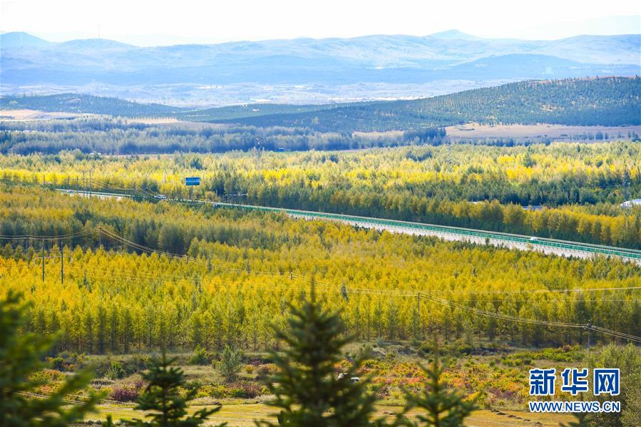 （在習(xí)近平新時代中國特色社會主義思想指引下——新時代新作為新篇章·習(xí)近平總書記關(guān)切事·圖文互動）（7）綠意，在黃沙中鋪展——我國防沙治沙紀(jì)實(shí)