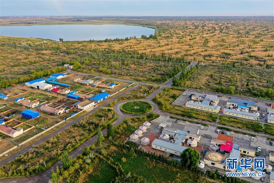 （在習(xí)近平新時代中國特色社會主義思想指引下——新時代新作為新篇章·習(xí)近平總書記關(guān)切事·圖文互動）（12）綠意，在黃沙中鋪展——我國防沙治沙紀(jì)實(shí)