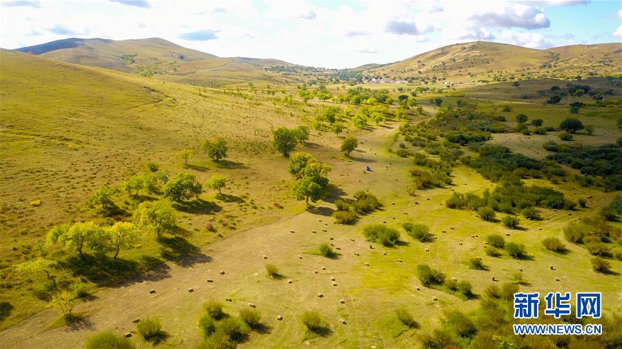 （在習(xí)近平新時代中國特色社會主義思想指引下——新時代新作為新篇章·習(xí)近平總書記關(guān)切事·圖文互動）（4）綠意，在黃沙中鋪展——我國防沙治沙紀(jì)實(shí)