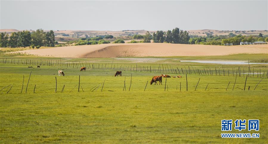 （在習(xí)近平新時代中國特色社會主義思想指引下——新時代新作為新篇章·習(xí)近平總書記關(guān)切事·圖文互動）（9）綠意，在黃沙中鋪展——我國防沙治沙紀(jì)實(shí)