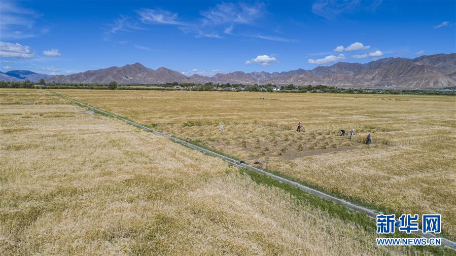 （新華全媒頭條·走向我們的小康生活·圖文互動(dòng)）（11）扎西德勒，我們的新家園——西藏易地扶貧搬遷搬出幸福美好新生活