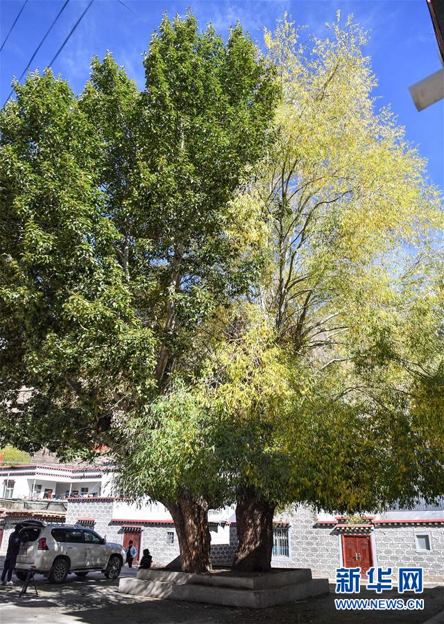 (圖文互動(dòng))(2)歷史遺跡的述說(shuō)——西藏昌都源遠(yuǎn)流長(zhǎng)的民族團(tuán)結(jié)故事