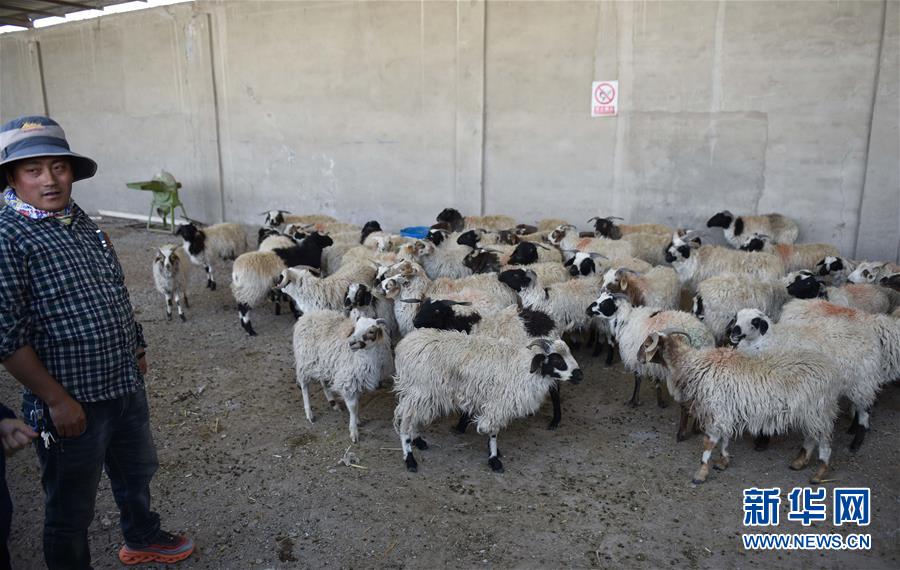 (集中連片特困地區(qū)貧困村調(diào)研行·圖文互動)(4)長江源村人的兩個(gè)家和幸福夢——青海格爾木市長江源村脫貧調(diào)查