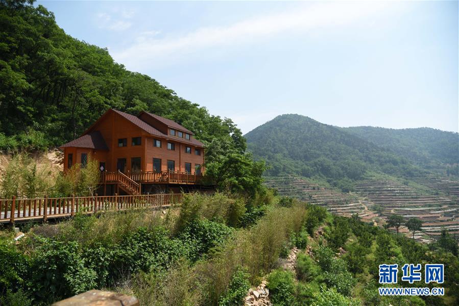 (決戰(zhàn)決勝脫貧攻堅(jiān)·圖文互動)(3)“講好紅色故事”也能脫貧攻堅(jiān)——紅嫂故里山東沂水縣桃棵子村“紅色扶貧”蹲點(diǎn)手記