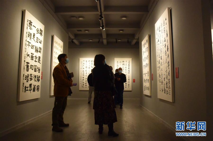 (新華網(wǎng)·圖文互動)(3)“黃河明珠——龍門石窟國際書法名家邀請展”開展