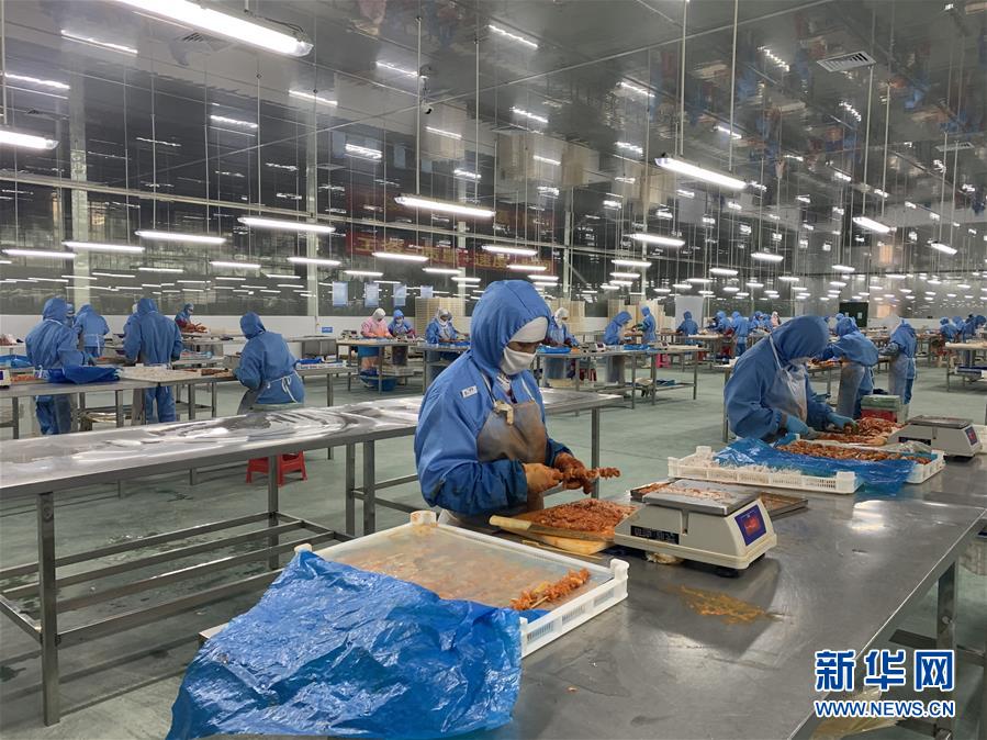 (圖文互動)搬出來的幸福生活——桂西一易地扶貧搬遷安置點見聞