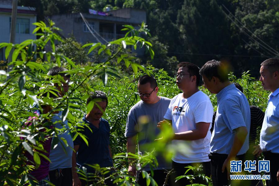 （決戰(zhàn)決勝脫貧攻堅(jiān)·圖文互動(dòng)）（3）“堵槍眼”的脫貧戰(zhàn)怎么打？——繼光村見聞
