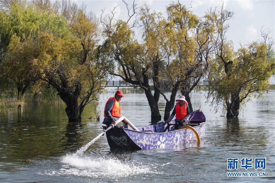 (新華全媒頭條·五中全會精神在基層·圖文互動)(9)奮發(fā)新青年 逐夢新征程——各地青年學(xué)習貫徹落實五中全會精神觀察