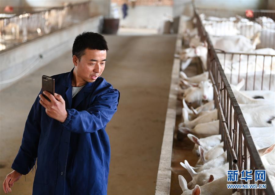 (新華全媒頭條·五中全會精神在基層·圖文互動)(12)奮發(fā)新青年 逐夢新征程——各地青年學(xué)習貫徹落實五中全會精神觀察