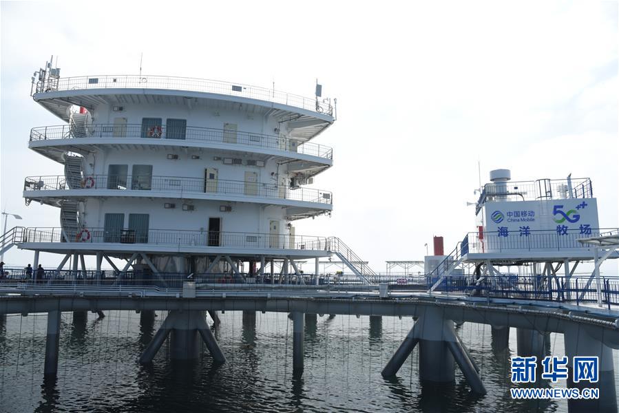 (新華全媒頭條·圖文互動)(6)“拔”海起牧場 “耕”海新牧歌