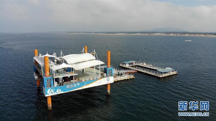 (新華全媒頭條·圖文互動)(7)“拔”海起牧場 “耕”海新牧歌