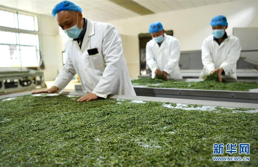 （新華全媒頭條·圖文互動(dòng)）（22）從人民中汲取磅礴力量——習(xí)近平總書(shū)記同出席2020年全國(guó)兩會(huì)人大代表、政協(xié)委員共商國(guó)是紀(jì)實(shí)