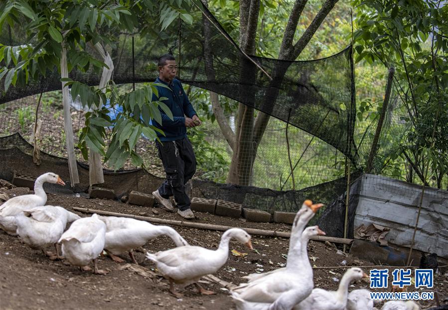 (新華全媒頭條·兩會(huì)精神看落實(shí)·圖文互動(dòng))(8)培育新機(jī) 開辟新局——落實(shí)全國兩會(huì)精神激發(fā)經(jīng)濟(jì)發(fā)展新動(dòng)能述評(píng)