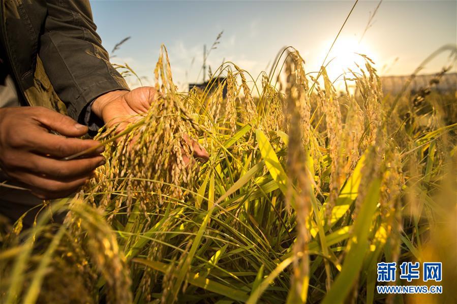 （新華全媒頭條·圖文互動(dòng)）（5）上下同心再出發(fā)——習(xí)近平總書記同出席2019年全國兩會(huì)人大代表、政協(xié)委員共商國是紀(jì)實(shí)