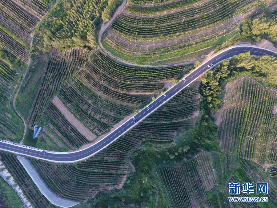 (新華全媒頭條·圖文互動(dòng))(5)心系北疆 情滿草原——習(xí)近平總書(shū)記考察內(nèi)蒙古回訪記