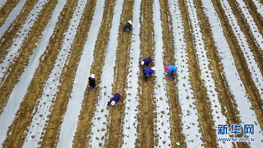(在習(xí)近平新時(shí)代中國特色社會主義思想指引下——新時(shí)代新作為新篇章·習(xí)近平總書記關(guān)切事·圖文互動)(8)啃下最后的硬骨頭——脫貧攻堅(jiān)掛牌督戰(zhàn)進(jìn)行時(shí)