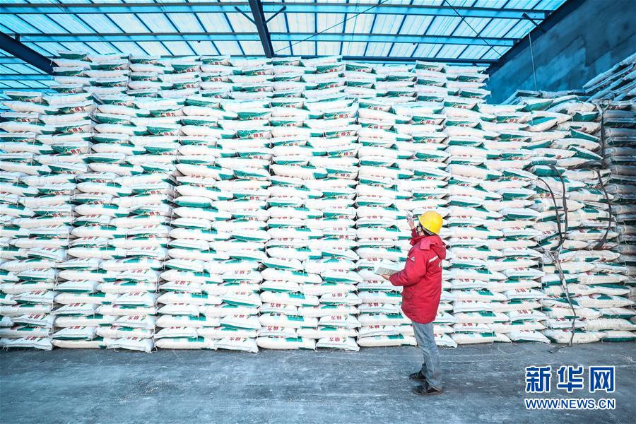 (在習(xí)近平新時(shí)代中國(guó)特色社會(huì)主義思想指引下——新時(shí)代新作為新篇章·習(xí)近平總書記關(guān)切事·圖文互動(dòng))(4)春耕忙 信心足——谷雨時(shí)節(jié)走馬東北直擊糧事