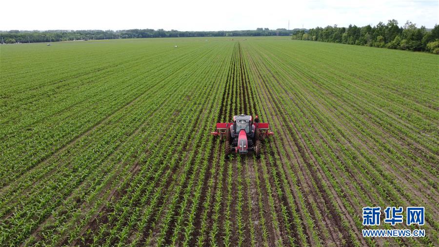 (在習(xí)近平新時代中國特色社會主義思想指引下——新時代新作為新篇章·習(xí)近平總書記關(guān)切事·圖文互動)(5)讓每一寸耕地都成為豐收的沃土——我國加強耕地保護推進“藏糧于地”