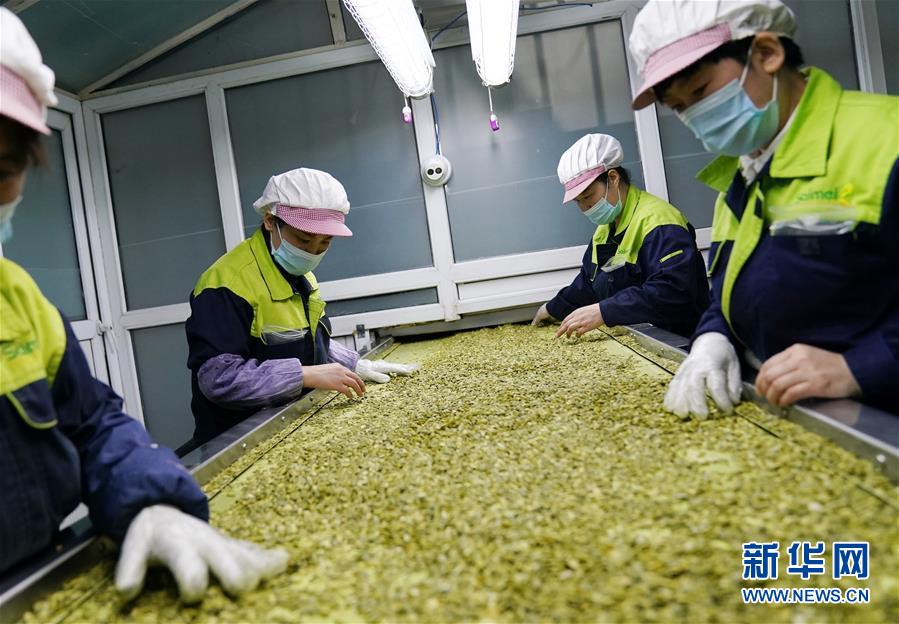 (在習(xí)近平新時代中國特色社會主義思想指引下——新時代新作為新篇章·習(xí)近平總書記關(guān)切事·圖文互動)(5)激發(fā)每個經(jīng)濟(jì)“細(xì)胞”的活力——千方百計把市場主體保護(hù)好