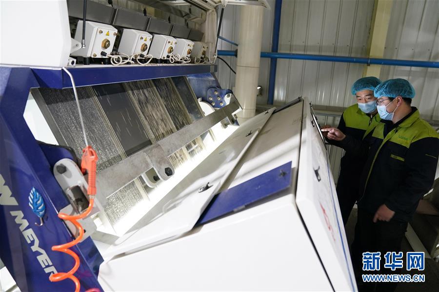 (在習(xí)近平新時代中國特色社會主義思想指引下——新時代新作為新篇章·習(xí)近平總書記關(guān)切事·圖文互動)(6)激發(fā)每個經(jīng)濟(jì)“細(xì)胞”的活力——千方百計把市場主體保護(hù)好