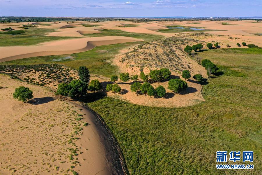 （在習(xí)近平新時(shí)代中國(guó)特色社會(huì)主義思想指引下——新時(shí)代新作為新篇章·習(xí)近平總書(shū)記關(guān)切事·圖文互動(dòng)）（10）綠意，在黃沙中鋪展——我國(guó)防沙治沙紀(jì)實(shí)