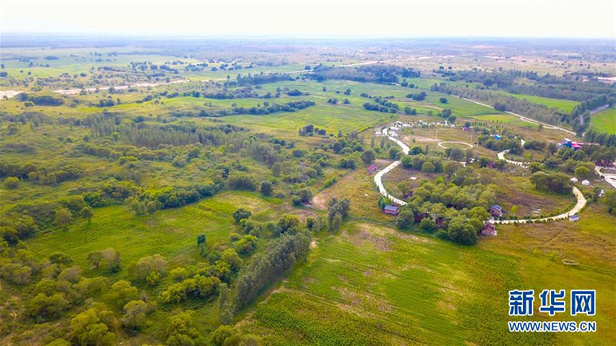 （在習(xí)近平新時(shí)代中國(guó)特色社會(huì)主義思想指引下——新時(shí)代新作為新篇章·習(xí)近平總書(shū)記關(guān)切事·圖文互動(dòng)）（1）綠意，在黃沙中鋪展——我國(guó)防沙治沙紀(jì)實(shí)