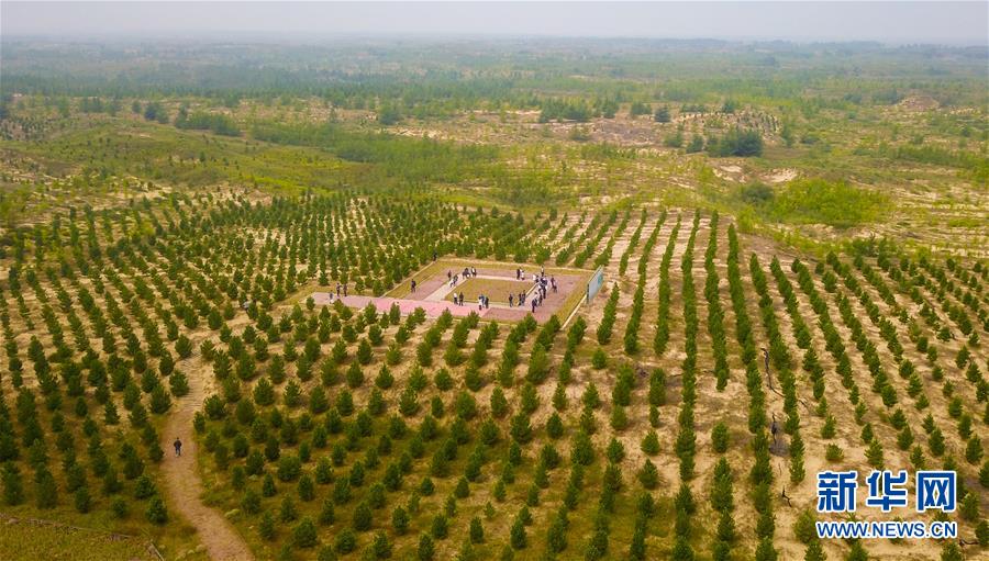 （在習(xí)近平新時(shí)代中國(guó)特色社會(huì)主義思想指引下——新時(shí)代新作為新篇章·習(xí)近平總書(shū)記關(guān)切事·圖文互動(dòng)）（2）綠意，在黃沙中鋪展——我國(guó)防沙治沙紀(jì)實(shí)
