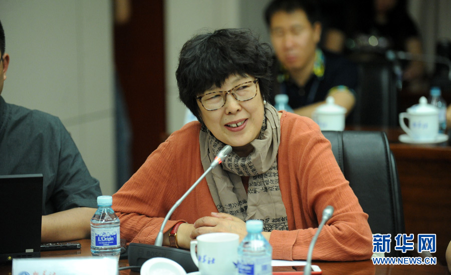 陳小波：新華人對歷史的擔(dān)當(dāng)、情感與良知