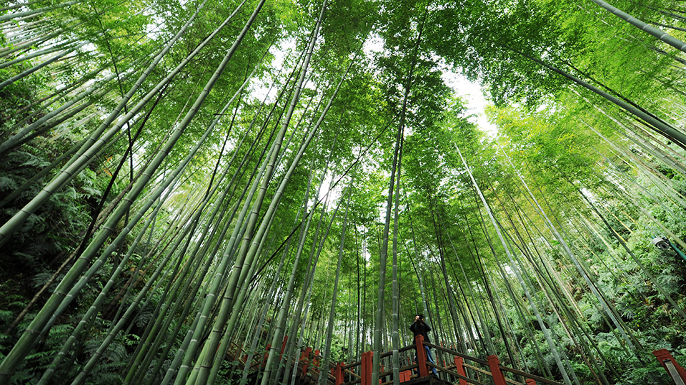 合作共治、責(zé)任共擔(dān)、效益共享——赤水河流域跨省生態(tài)補(bǔ)償取得積極成效