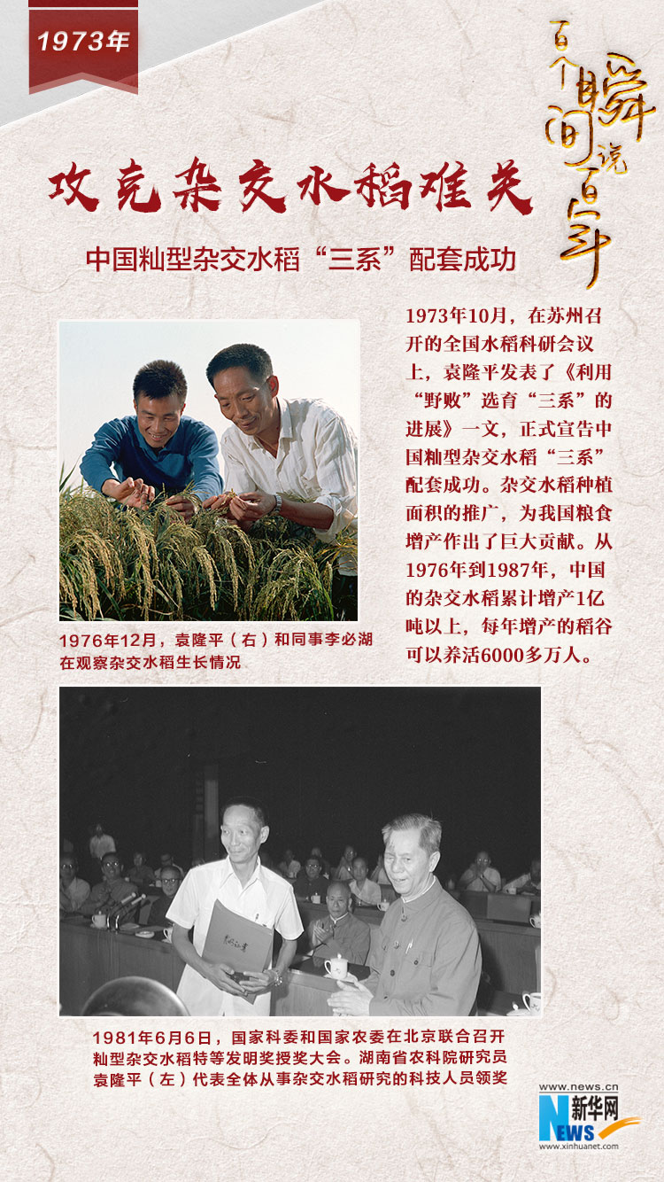 1973，攻克雜交水稻難關(guān)