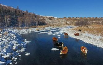 嚴(yán)寒中的&ldquo;不凍河&rdquo;