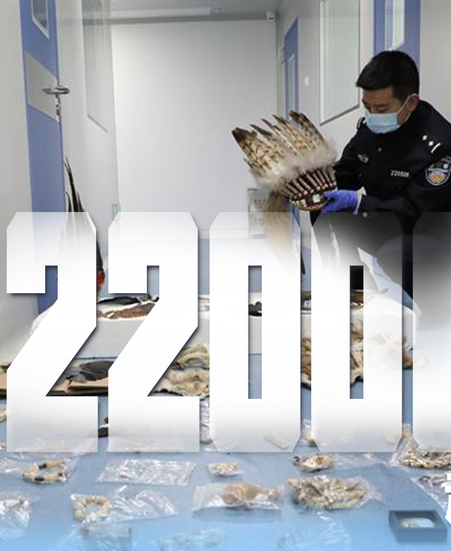 抗疫有&ldquo;法&rdquo;，就是這么給力！