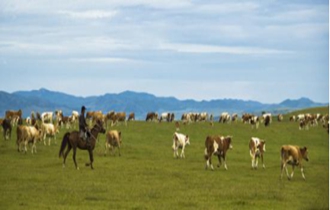 華能北方公司：奔小康，咱肯定能