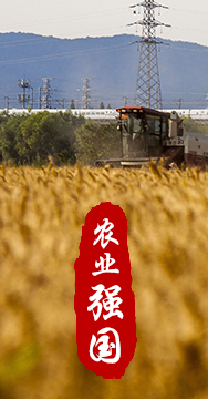 農(nóng)業(yè)強(qiáng)國是社會(huì)主義現(xiàn)代化強(qiáng)國的根基。