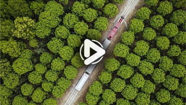 第十一集：你好！地球衛(wèi)士