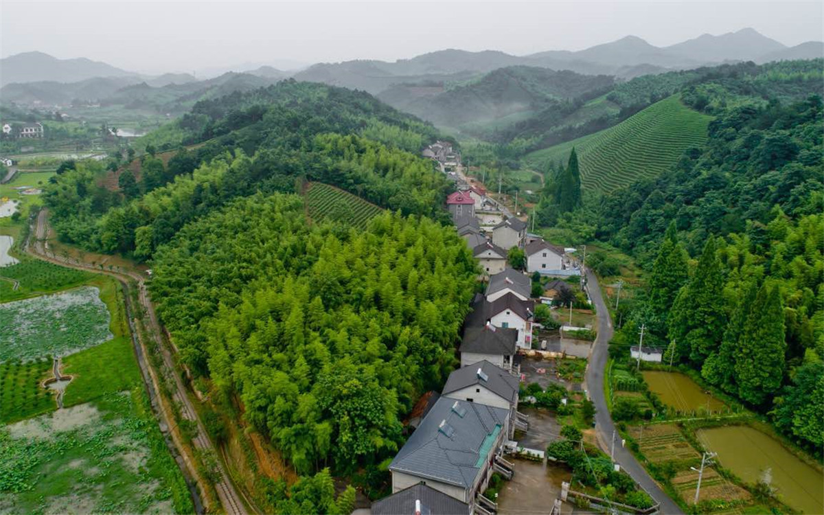 從2003年起，浙江省開展了“千村示范、萬村整治”工程