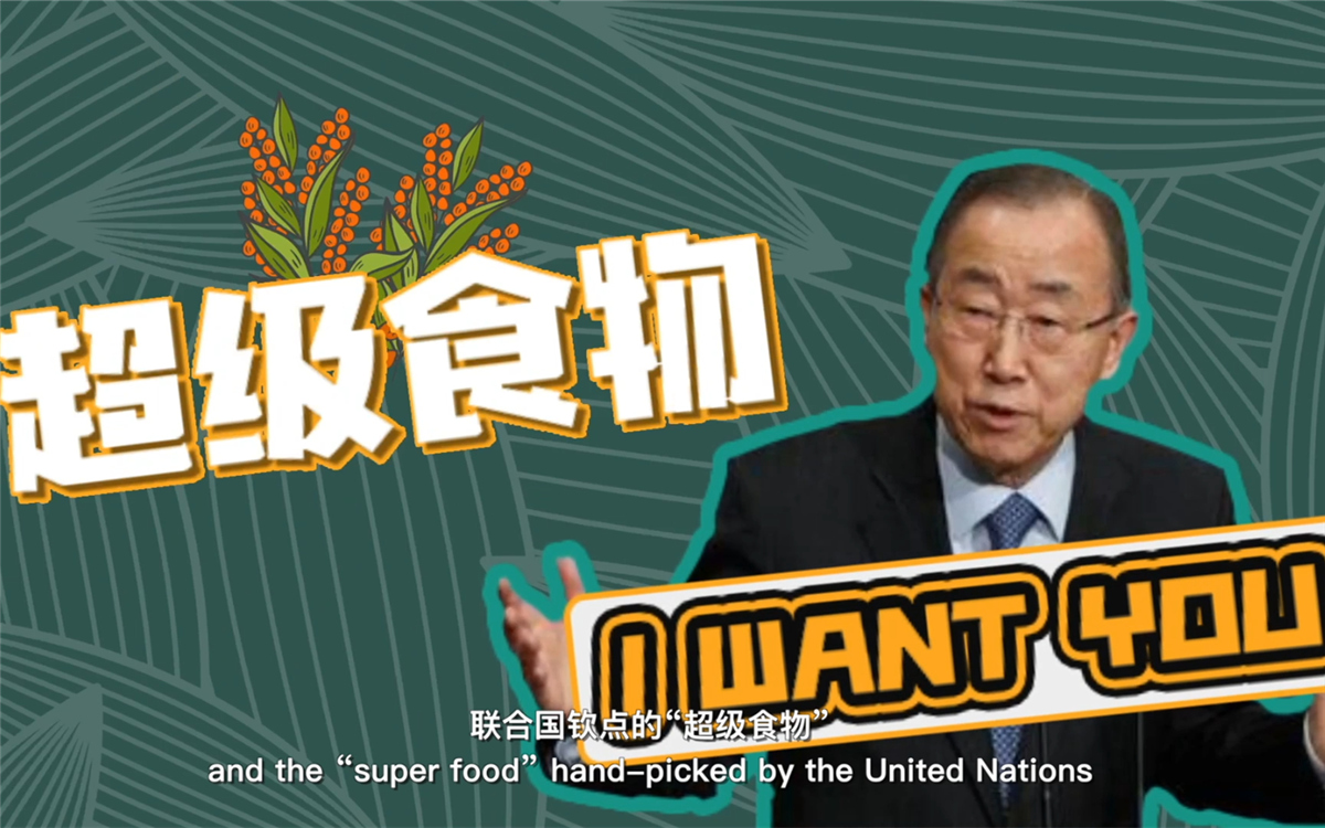 聯(lián)合國將藜麥視為抗擊饑餓的“超級(jí)食物”，大力推廣