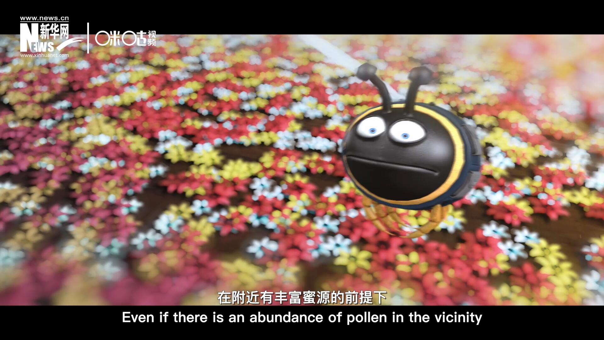 你知道一只蜜蜂采一公斤蜜有多辛苦嗎？據(jù)統(tǒng)計(jì)，在附近有豐富蜜源的前提下，一只蜜蜂大約需要飛行四萬(wàn)千米