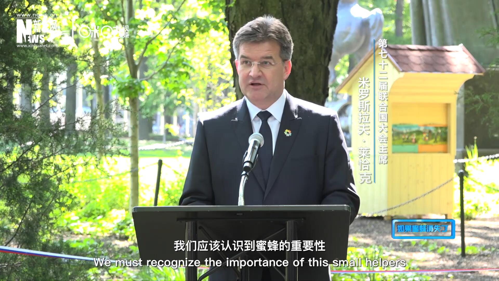 我們應(yīng)該認(rèn)識(shí)到蜜蜂的重要性，所以我們用“世界蜜蜂日”提高大家保護(hù)蜜蜂的意識(shí)，并且用實(shí)際行動(dòng)去保護(hù)蜜蜂