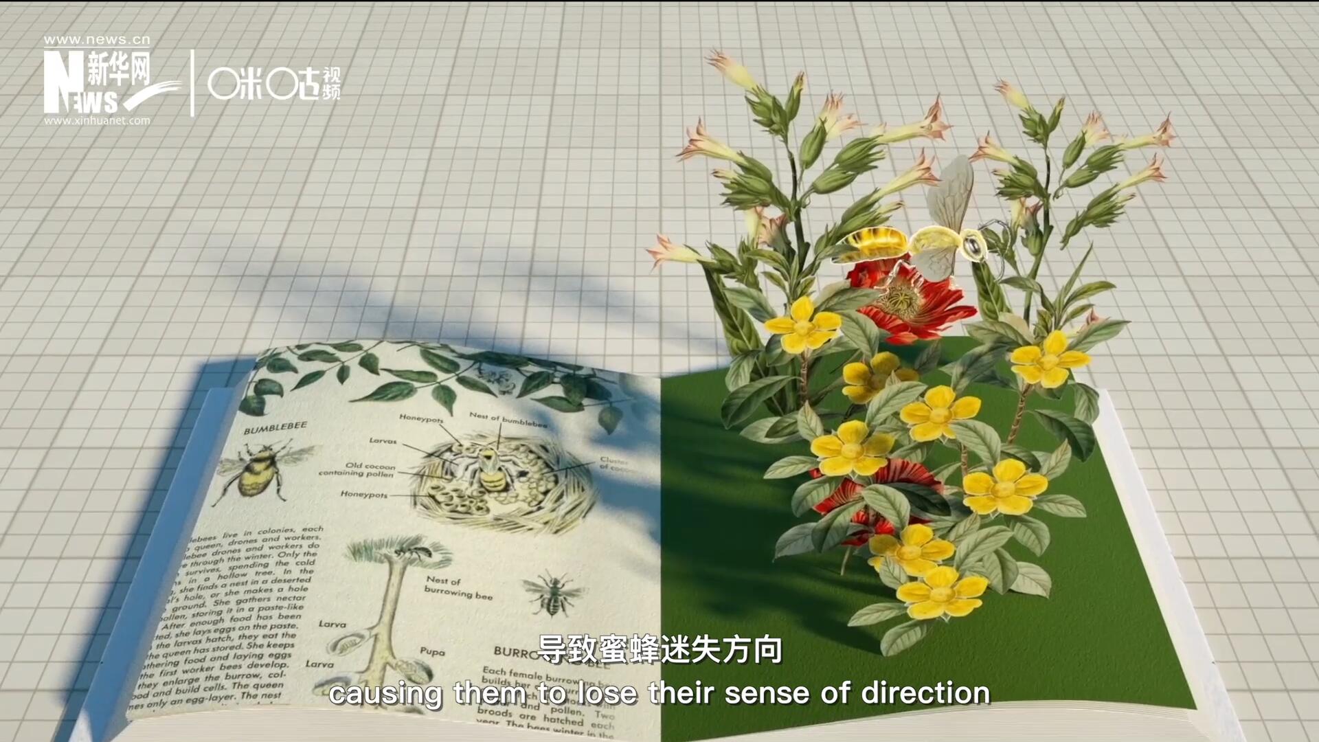 殺蟲(chóng)劑會(huì)破壞蜜蜂的神經(jīng)系統(tǒng)，導(dǎo)致蜜蜂迷失方向，無(wú)法回到蜂房，還會(huì)降低蜜蜂的抵抗力